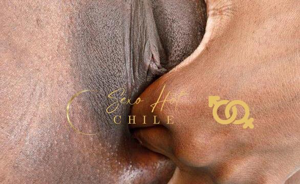 0b93c3ee-d112-4a35-88e5-2833c86eb401