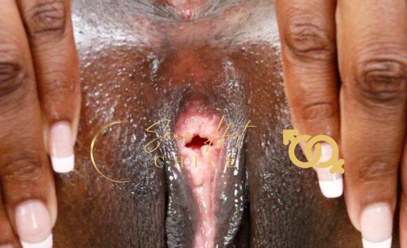 9d12f3aa-d181-4692-a865-452a9888a266